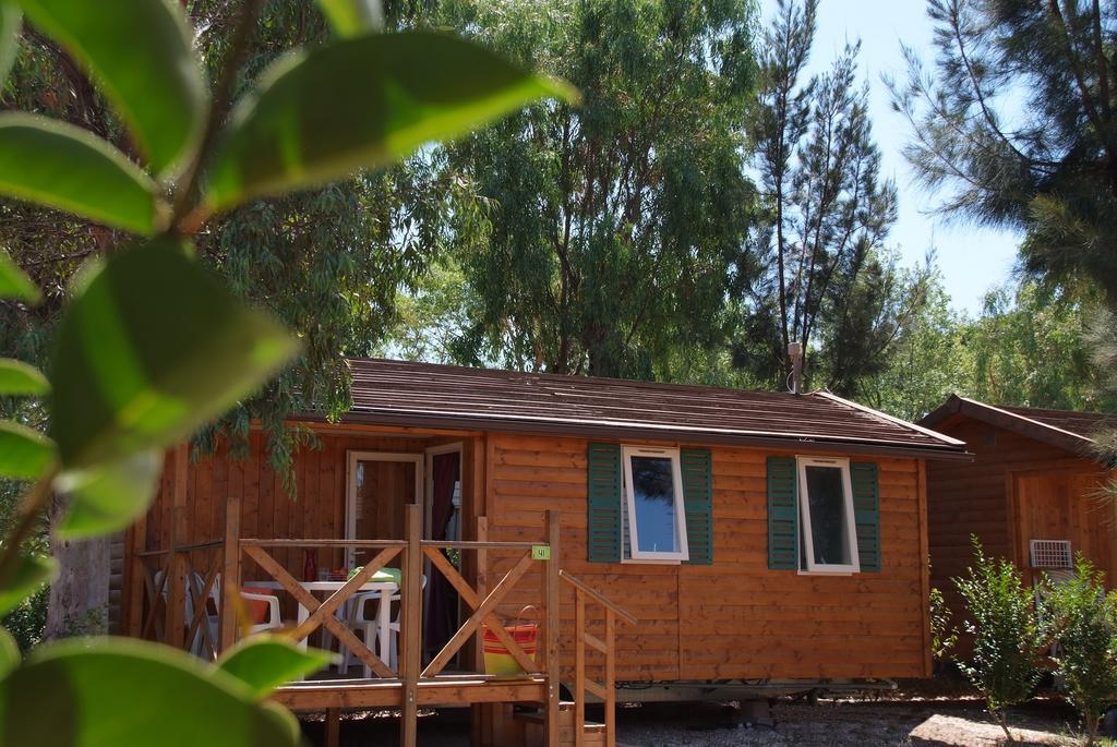 Camping Les Palmiers Hyères الغرفة الصورة